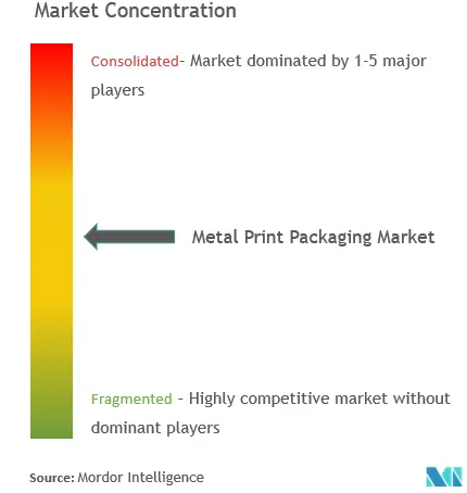 Embalajes de impresión metálica globalConcentración del Mercado