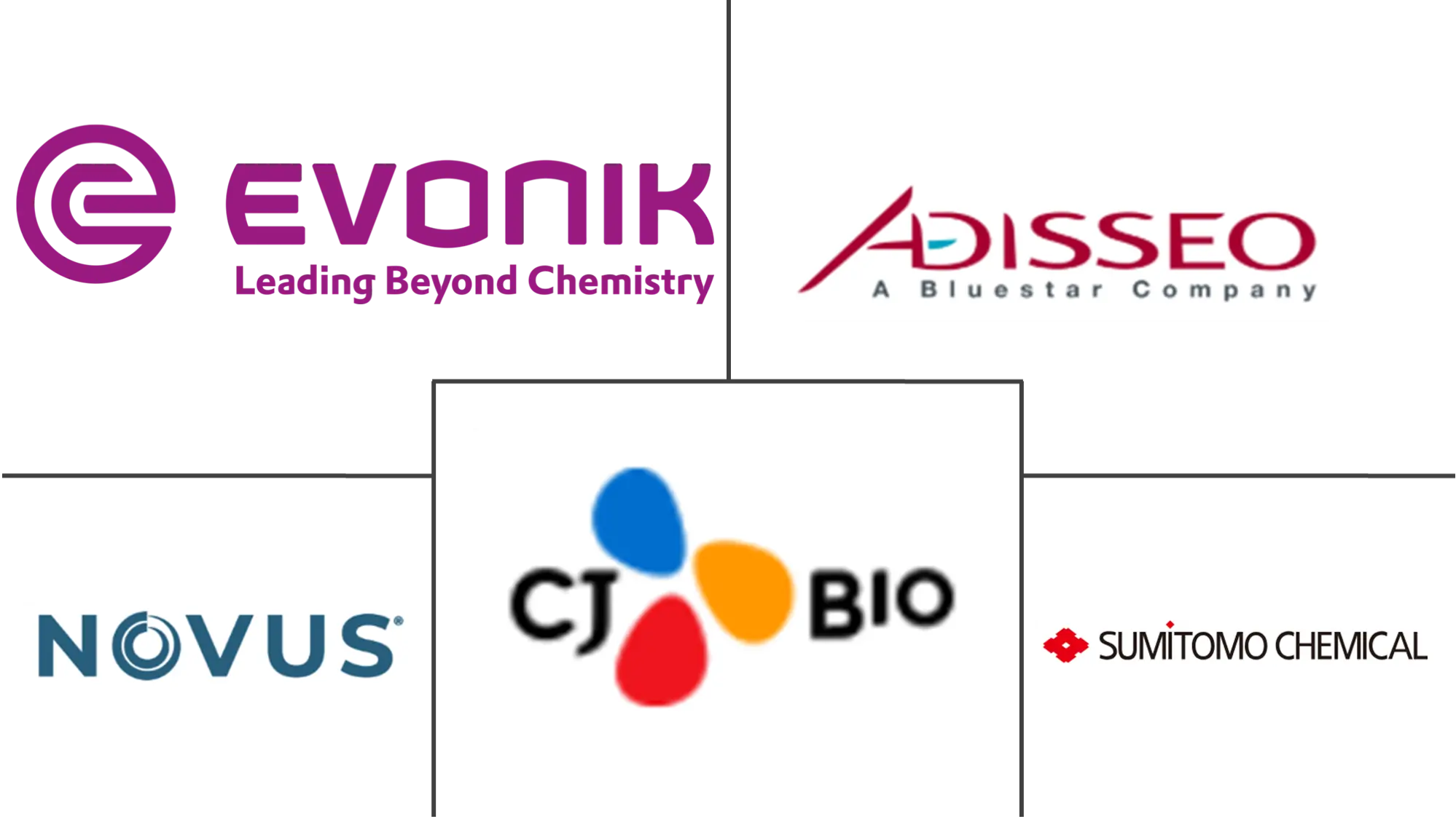 Major players in Methionine industry