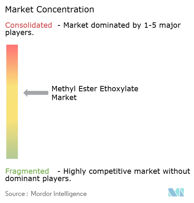 Methyl Ester Ethoxylate Market - Market Concentration