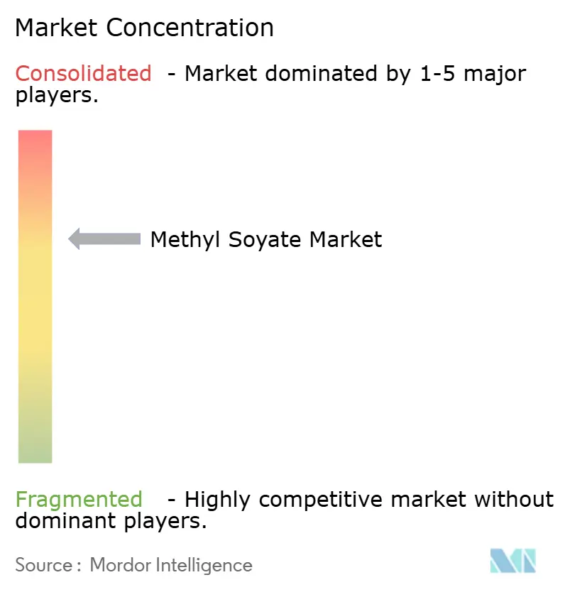 Methyl Soyate Marktkonzentration