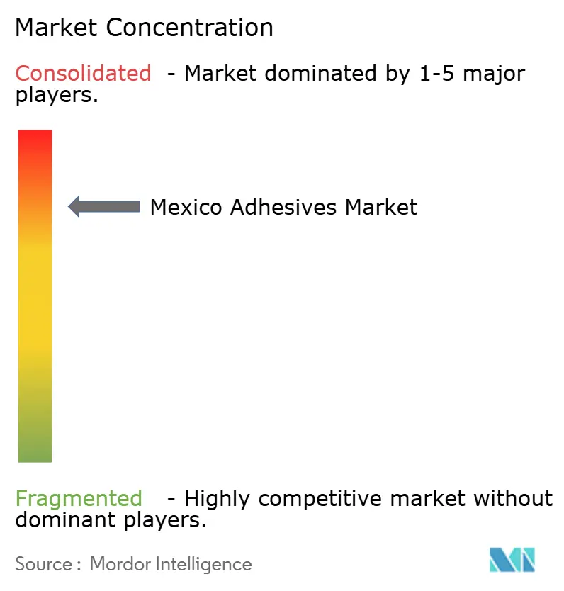 Mexico Adhesives Market - Market Concentration