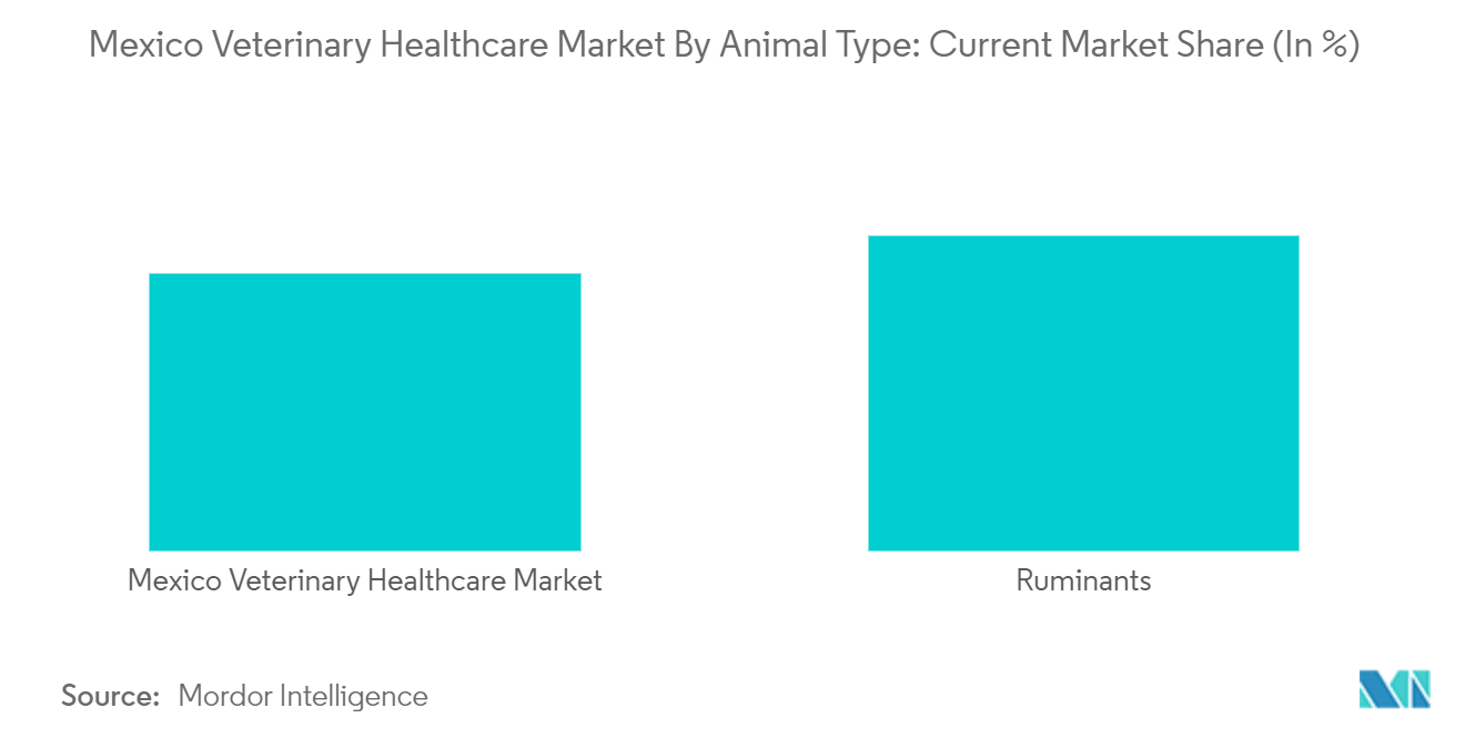 Mexico Veterinary Healthcare Market - Mexico Veterinary Healthcare Market By Animal Type: Current Market Share (In %)