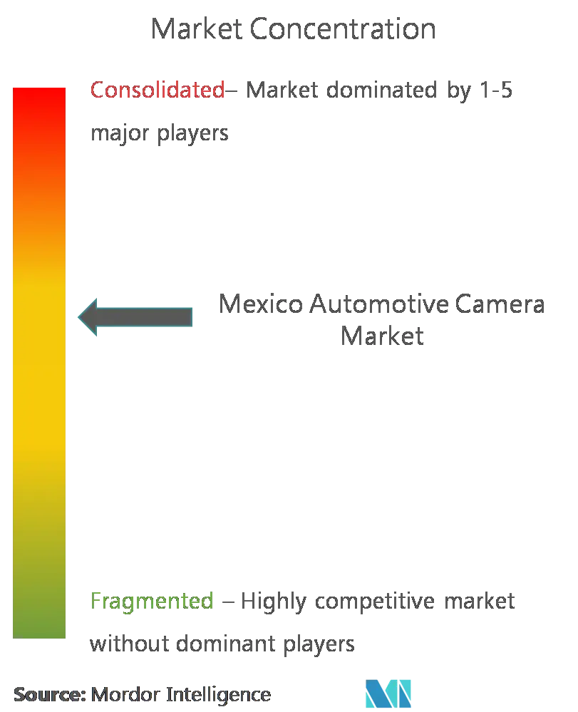 México Automotive Camera Concentração de Mercado