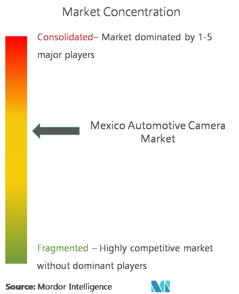 Concentración del mercado de cámaras automotrices en México