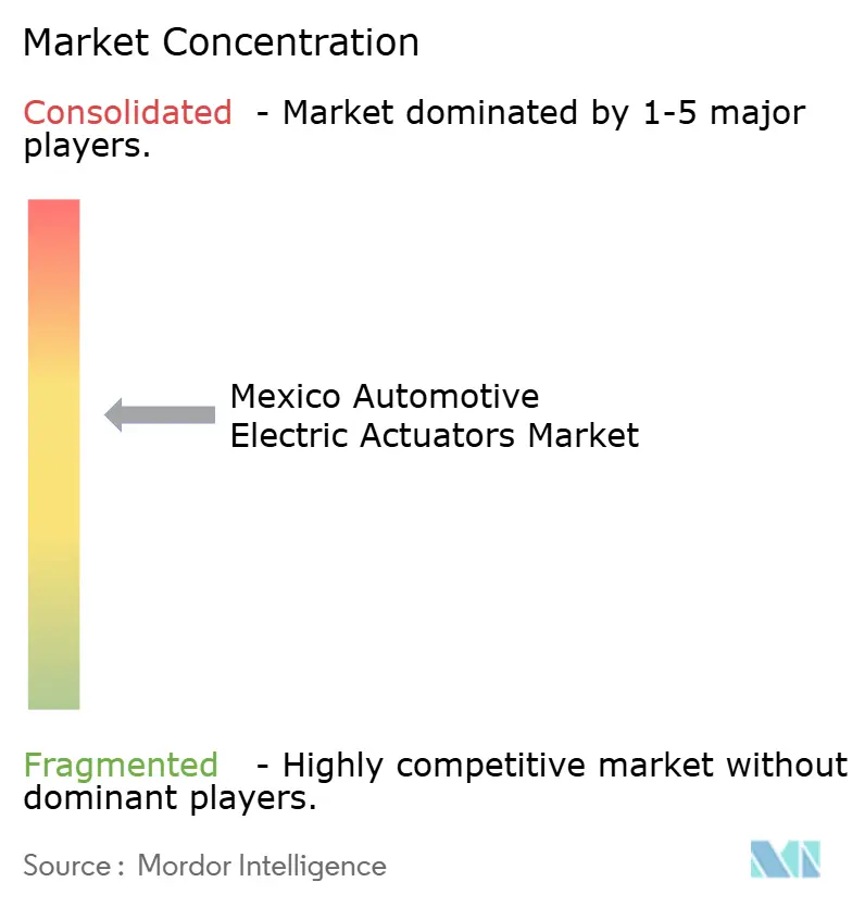 Marktkonzentration für elektrische Aktuatoren in der mexikanischen Automobilindustrie