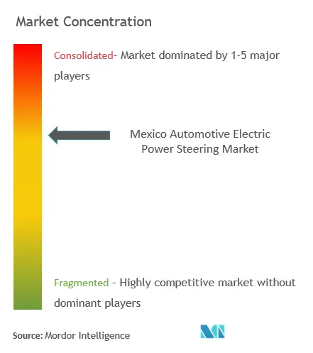 Mexico Automotive EPS Market Concentration