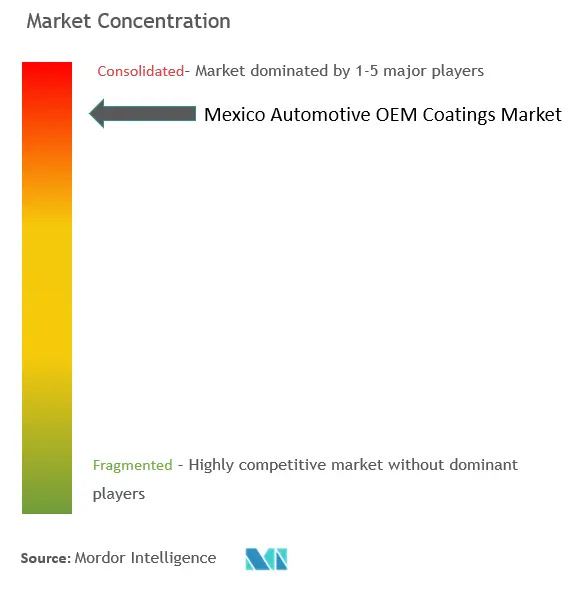 Mexico Automotive OEM Coatings Market  Concentration