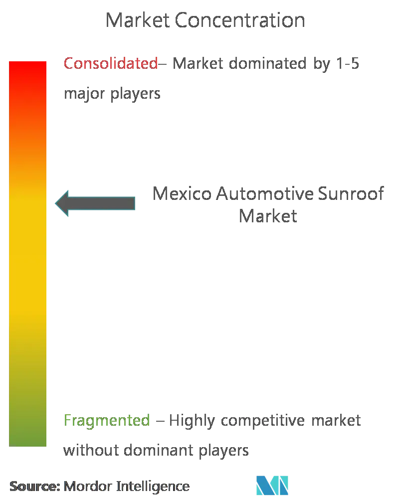 メキシコの自動車用サンルーフ市場集中度
