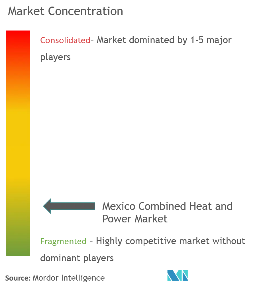 Market Concentration-Mexico Combined Heat and Power Market.png