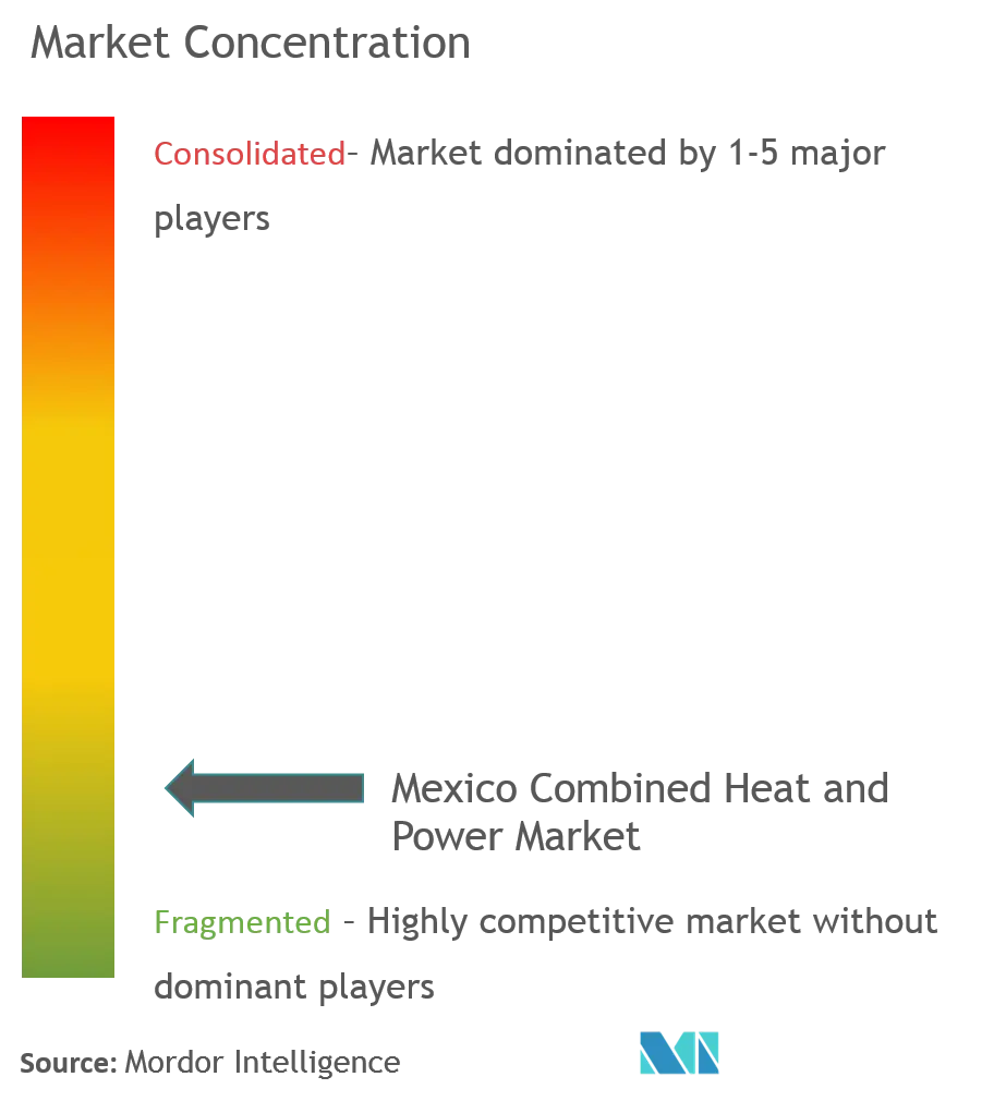 Mexico Combined Heat and Power Market Concentration