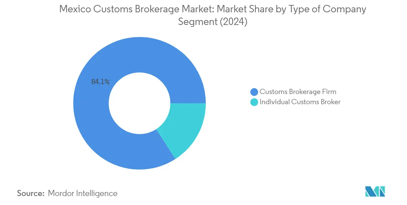 Market Analysis of Mexico Customs Brokerage Market: Chart for By Type of Company