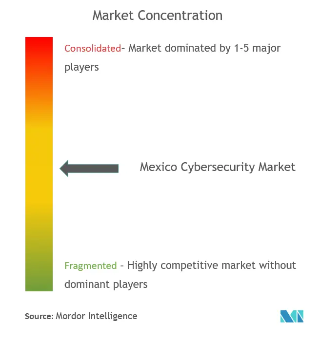 Mexico Cybersecurity Market Concentration