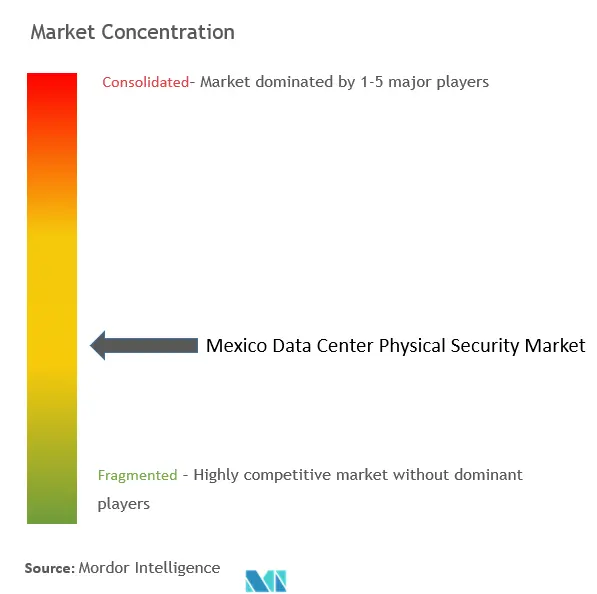 Mexico Data Center Physical Security Market Concentration