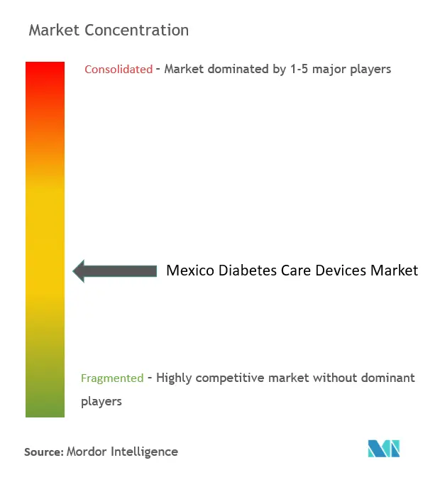 メキシコ糖尿病治療機器市場の集中度