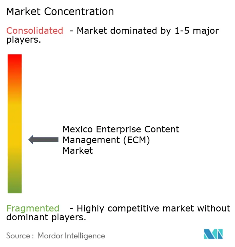 Concentration du marché mexicain de la gestion de contenu d'entreprise (ECM)