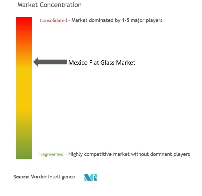 Mexico Flat Glass Market Concentration