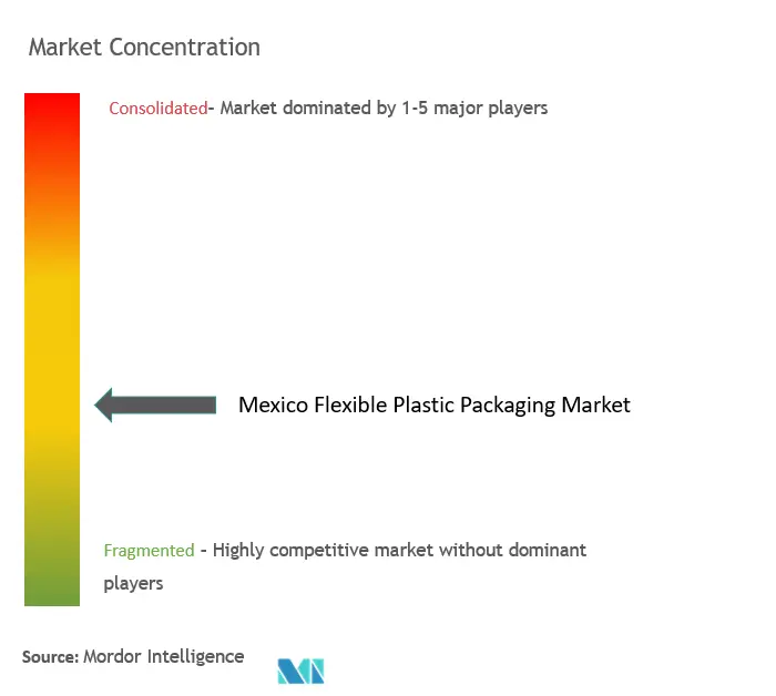 Mexico Flexible Plastic Packaging Market Concentration