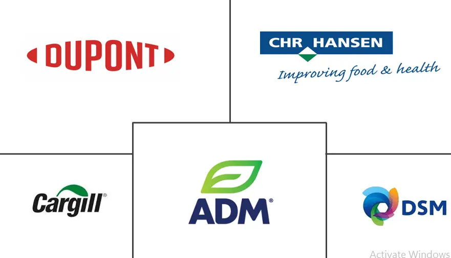  Marché mexicain des additifs alimentaires Major Players