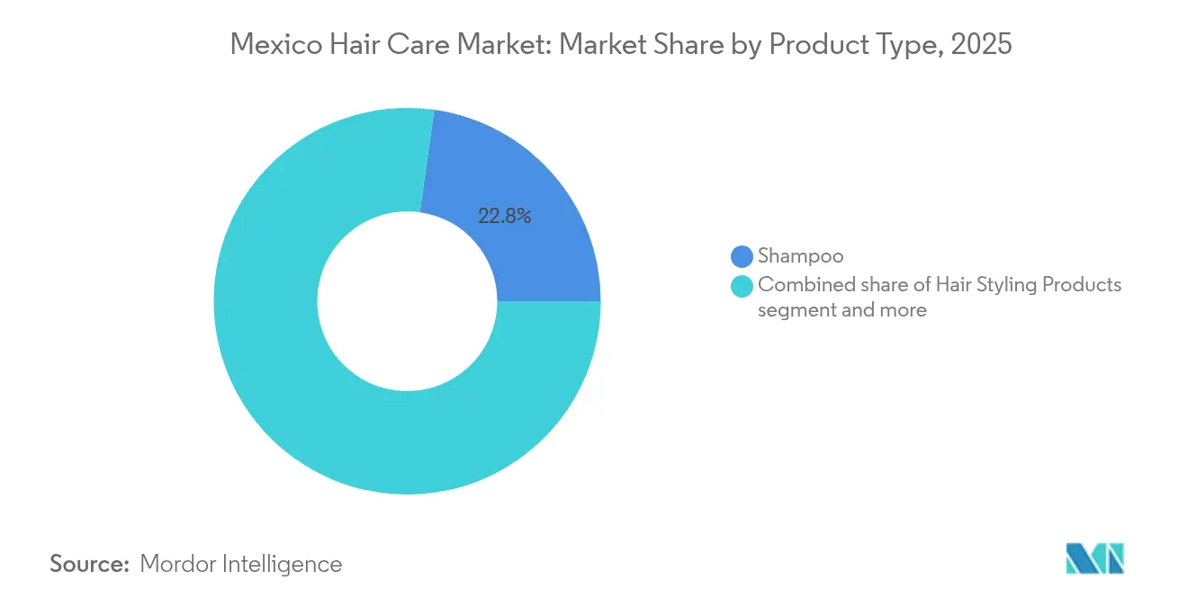 Mexico Hair Care Market: Market Share by Product Type, 2025