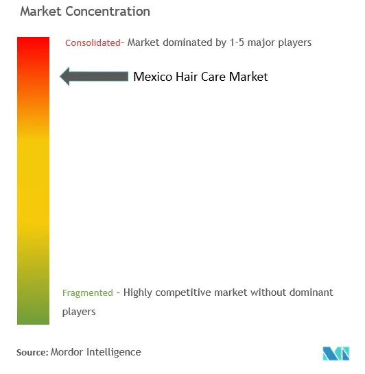 墨西哥护发市场集中度