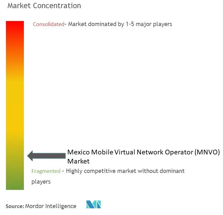 Mexico MNVO Market Concentration