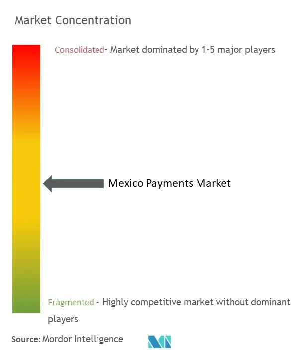 Mexico Payments Market Concentration