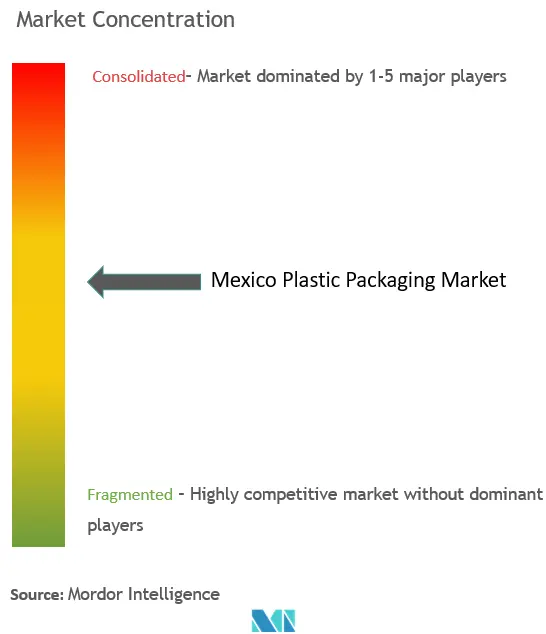 Mexico Plastic Packaging Market Concentration