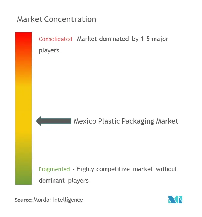 Mexico Plastic Packaging Market Concentration