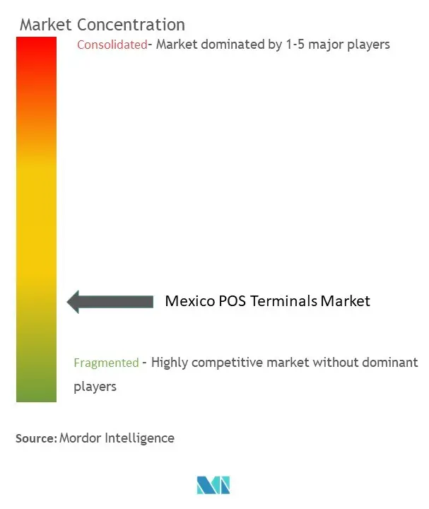 Mexico POS Terminals Market Concentration
