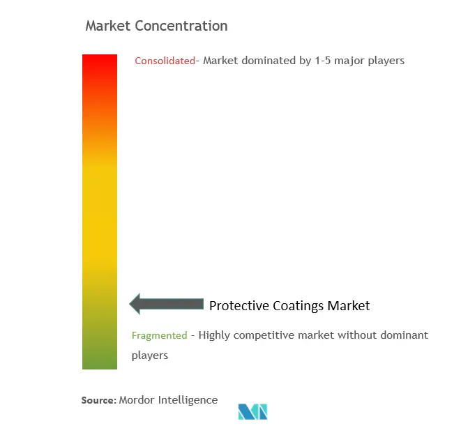 Mexico Protective Coatings Market  Concentration