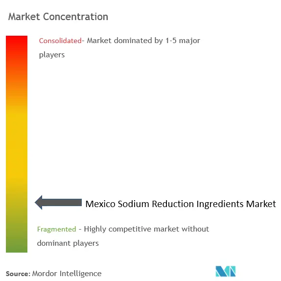 Ingrédients de réduction du sodium au MexiqueConcentration du marché
