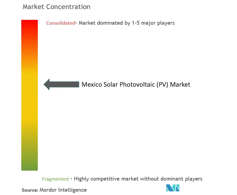 Mexico Solar Photovoltaic (PV) Market Concentration