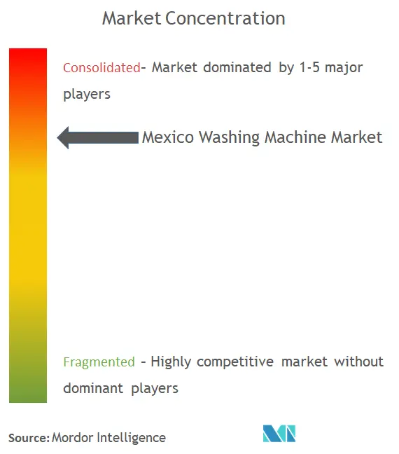 Mexiko-WaschmaschineMarktkonzentration