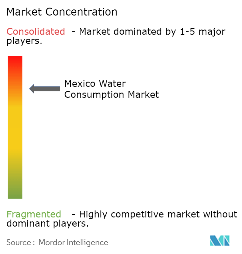 Mexico Water Consumption Market Concentration