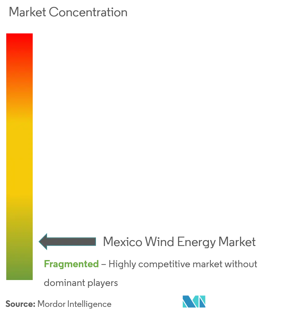 سوق طاقة الرياح في المكسيك - تركيز السوق.png