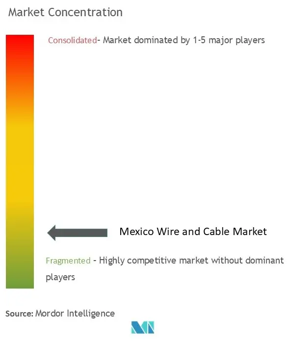 Mexico Wires And Cables Market Concentration