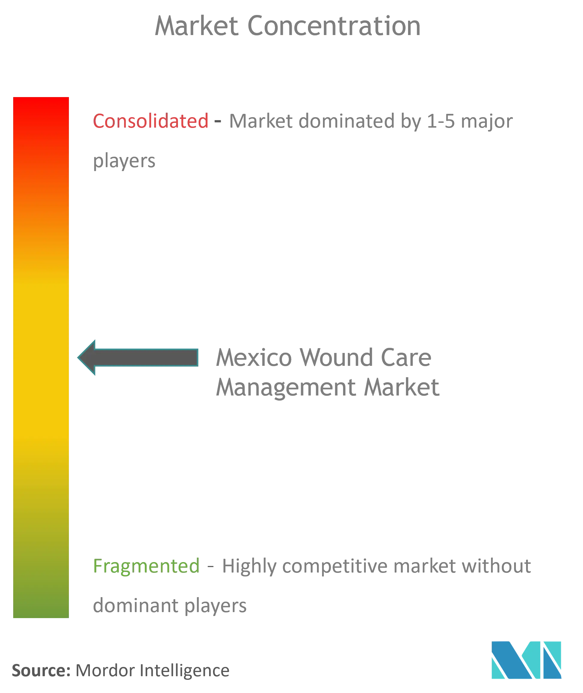 Mexico Wound Care Management Market Concentration