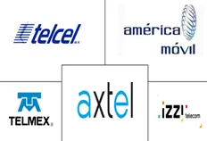Mexico Telecom Market  Major Players