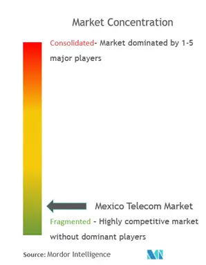 Mexico Telecom Market Concentration