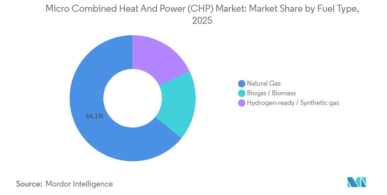 Micro Combined Heat And Power (CHP) Market: Market Share by Fuel Type