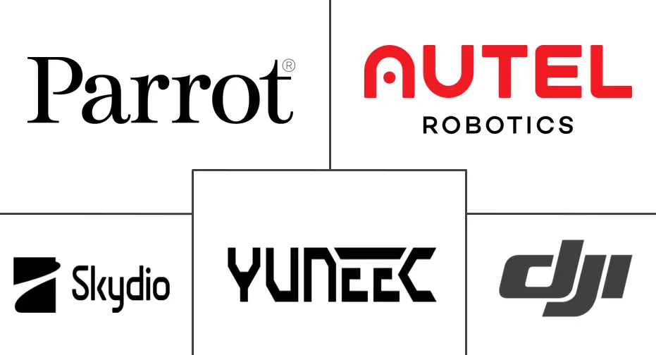 Major players in Micro-Drones industry