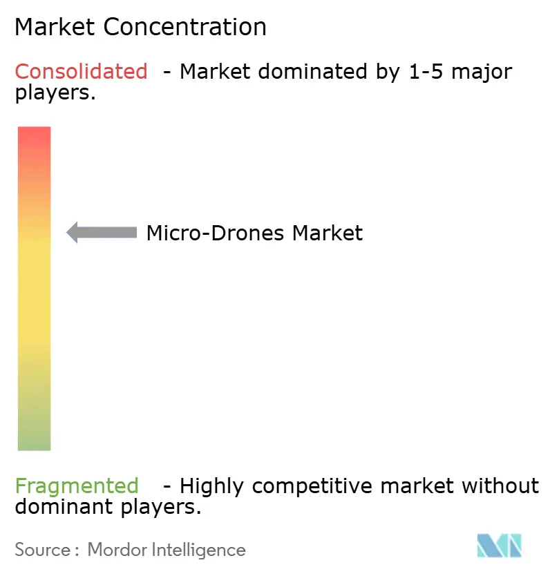 Micro-Drones Market Concentration