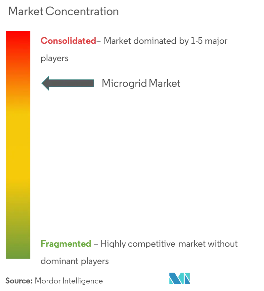 Micro Grid Market Concentration