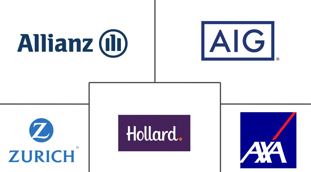 Hauptakteure in Mikroversicherungsmarkt Branche