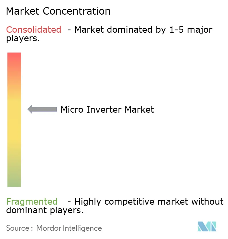 Micro Inverter Market Concentration Micro Inverter Market Concentration