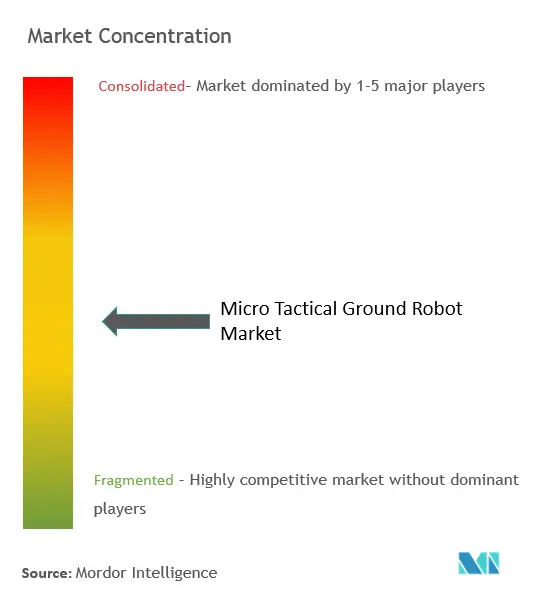 超小型戦術地上ロボット市場の集中度