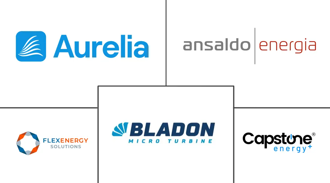 Principaux acteurs dans Marché des Micro-Turbines industrie