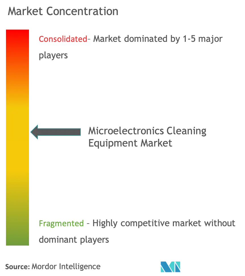 Microelectronics Cleaning Equipment Market Concentration