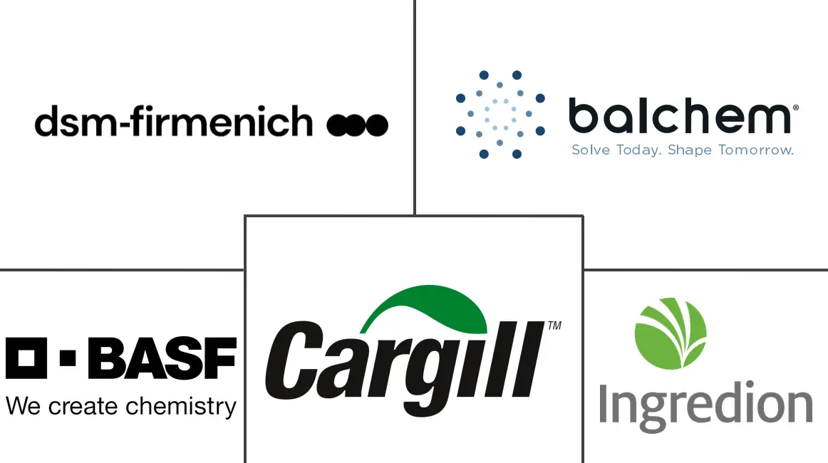 Related Companies Logo