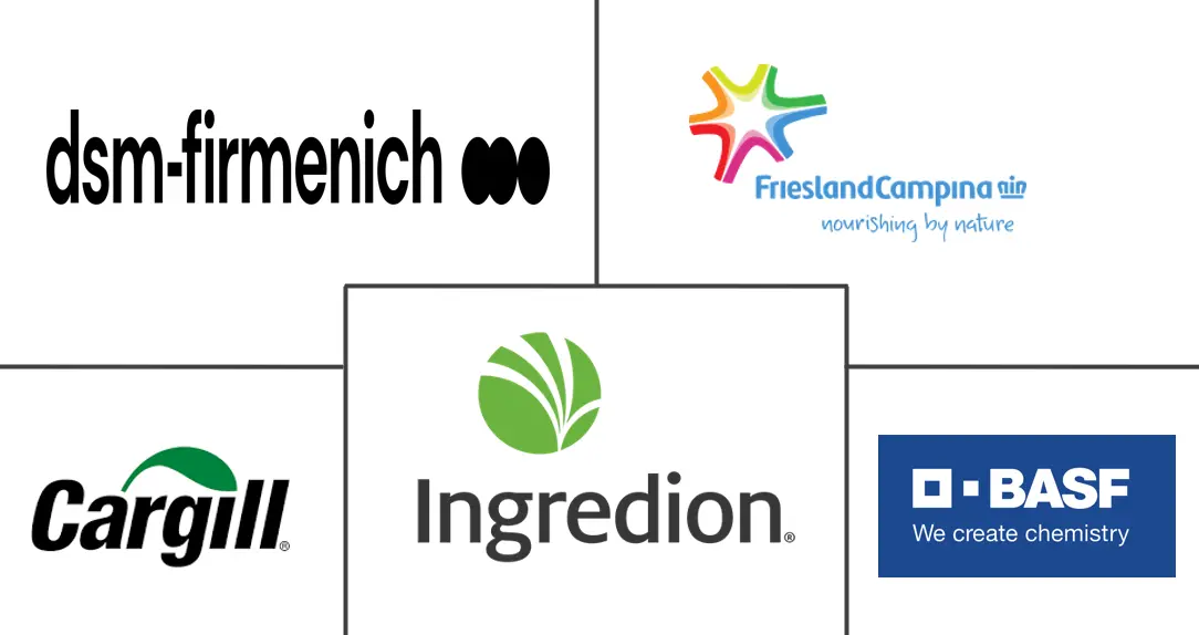 Major players in Microencapsulated Food Ingredient industry